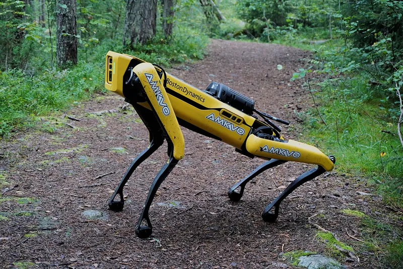 Boston Dynamics Spot robot walking on a forest trail